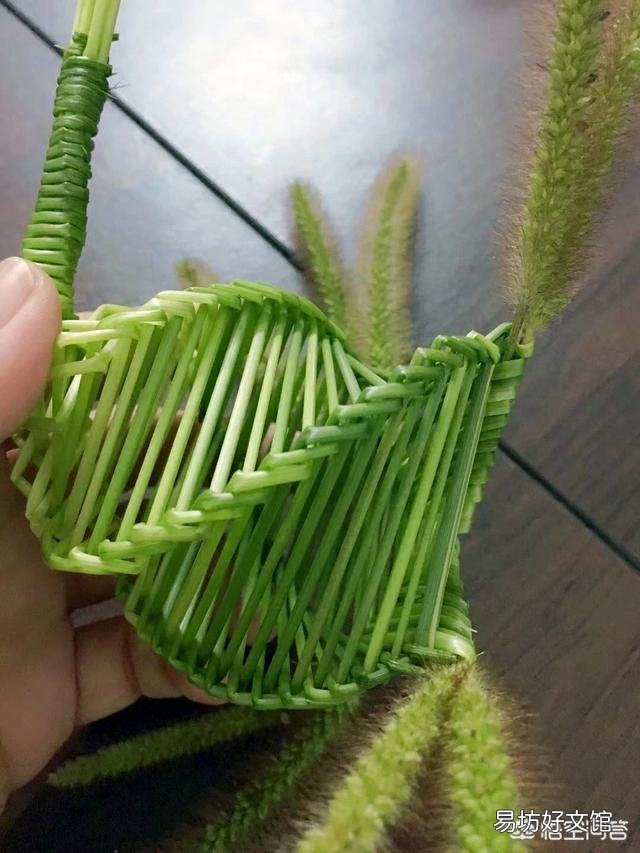 农村里常见的"狗尾巴"草,有什么用处?