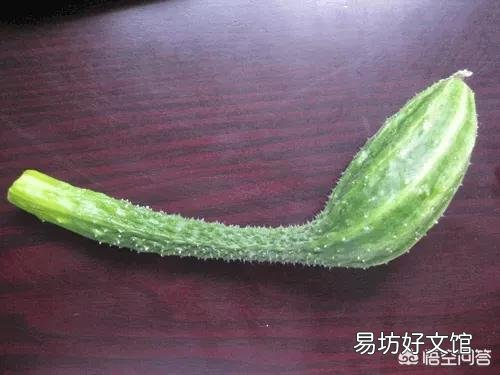 黄瓜畸形的原因有哪些,如何化解?