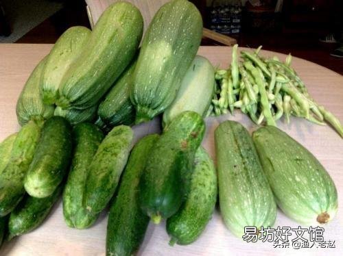 请问秋黄瓜、四季豆,何时种好?