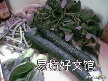 请问秋黄瓜、四季豆,何时种好?