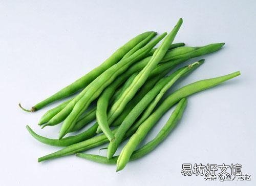 请问秋黄瓜、四季豆,何时种好?