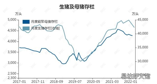 现在去养猪能不能赚钱?