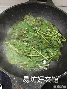 有的人说香椿含致癌物,是真的吗?