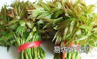 有的人说香椿含致癌物,是真的吗?