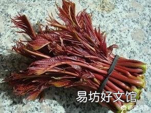 有的人说香椿含致癌物,是真的吗?
