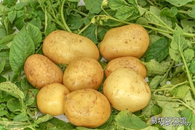 为什么土豆拿回家没几天就发芽了,在超市放那么久都不发芽?