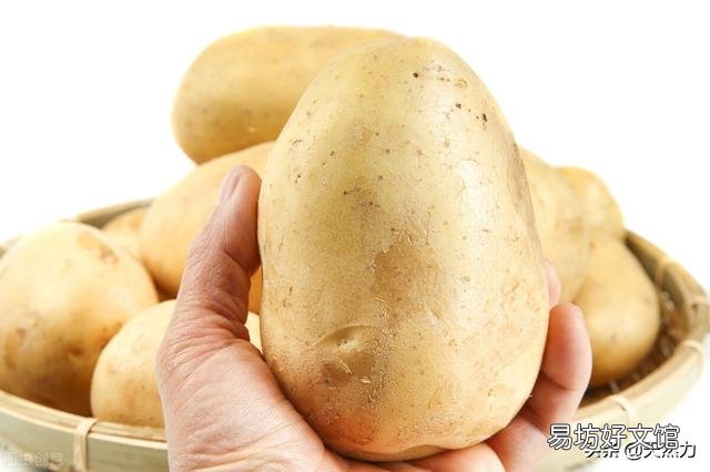 为什么土豆拿回家没几天就发芽了,在超市放那么久都不发芽?