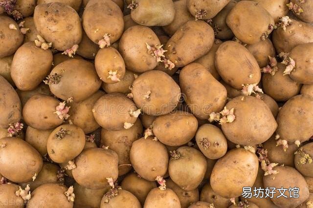 为什么土豆拿回家没几天就发芽了,在超市放那么久都不发芽?