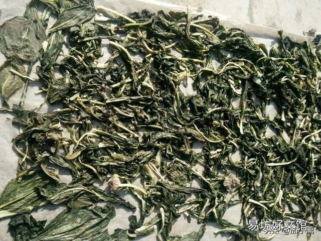 哪些蔬菜能晒成干吃,比如梅干菜、豇豆干?