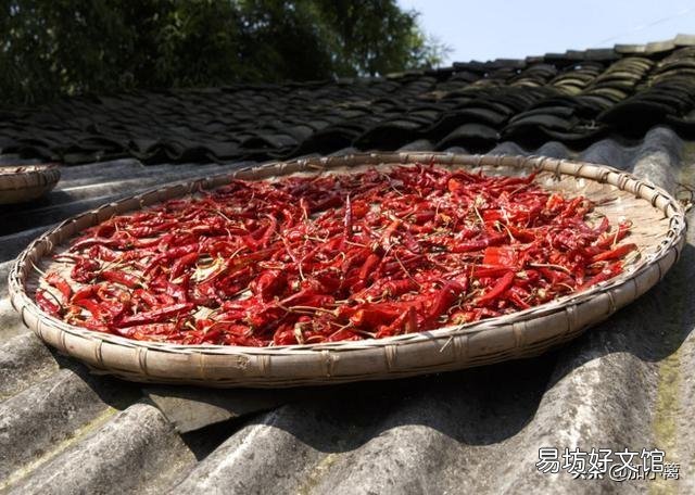 哪些蔬菜能晒成干吃,比如梅干菜、豇豆干?