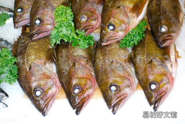 鱼类全面涨价!餐饮、批发商该何去何从?