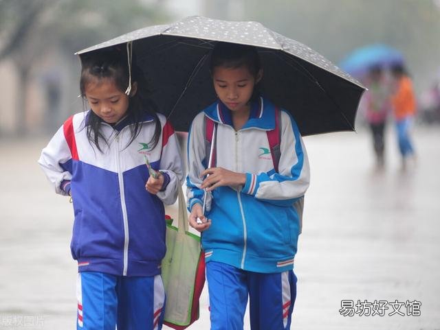 今年即将迎来“倒春寒”,有可能形成气象灾害吗?粮价、猪价走势如何?
