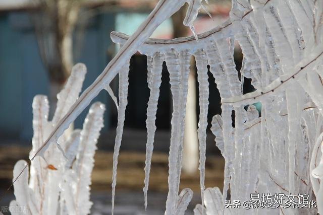 今年即将迎来“倒春寒”,有可能形成气象灾害吗?粮价、猪价走势如何?