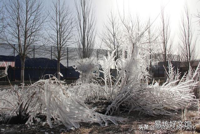 今年即将迎来“倒春寒”,有可能形成气象灾害吗?粮价、猪价走势如何?