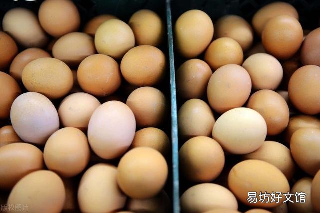春节前蛋价还能涨吗?