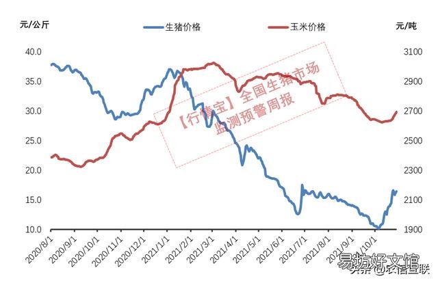 猪价刚跌又涨,多地涨1元,会继续涨吗?该不该出栏?