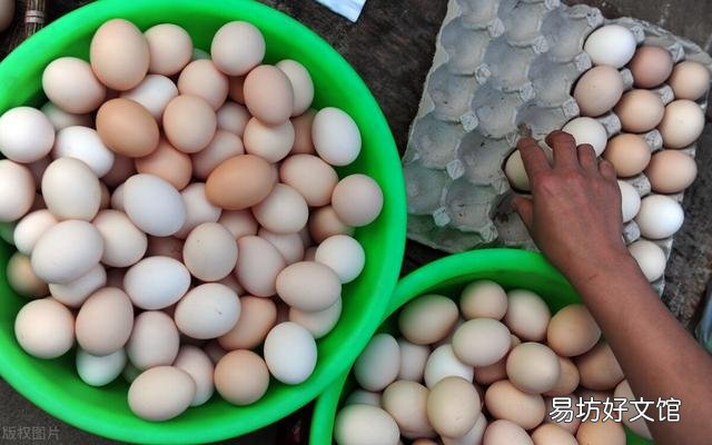 为什么农村散养鸡到了冬天,价格高时生蛋少?