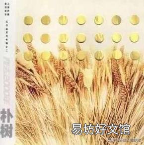 朴树第一张专辑 朴树新专辑