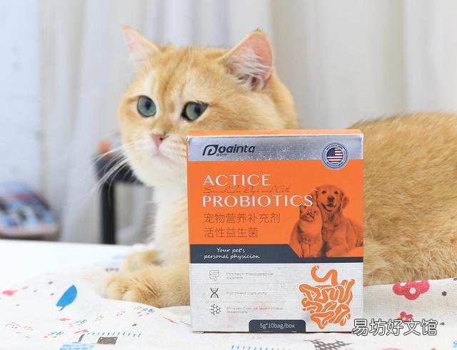 猫精神好但不爱吃东西是怎么回事(猫精神好但不爱吃东西)
