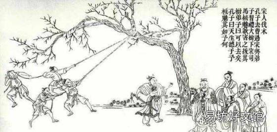 六艺中的御指骑马还是驾车 古代六艺御指什么