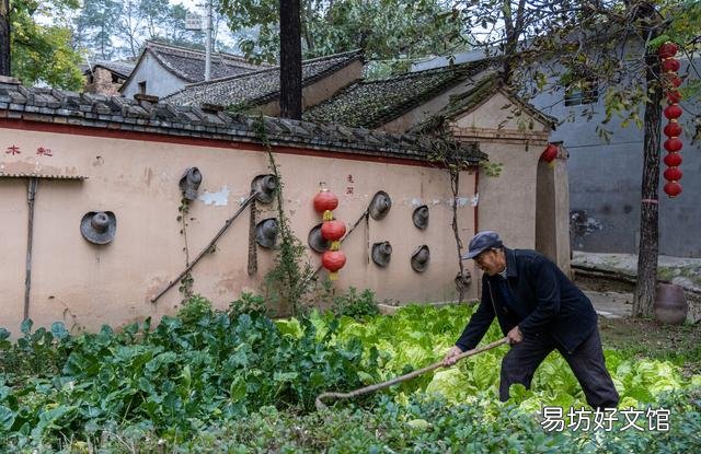 在家种田一年3万,外出打工一天200元,你怎么选择?