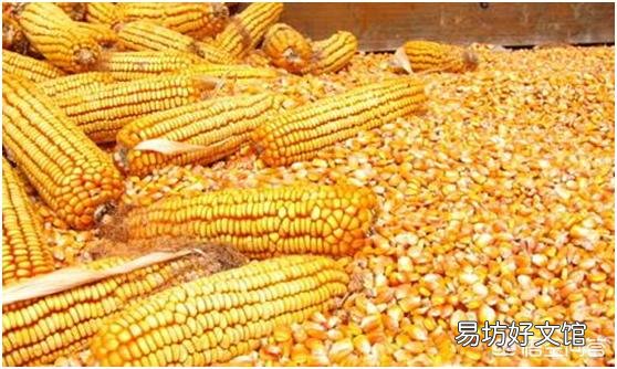 你吃过最正宗的土鸡吗?
