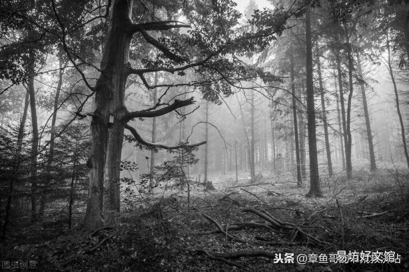 女生言情悬疑灵异小说 校园灵异小说