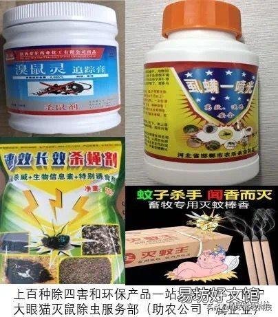 猪场外购仔猪回来风险大,如何有效防控非洲猪瘟?