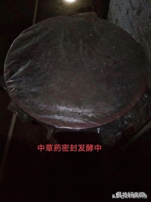 猪场外购仔猪回来风险大,如何有效防控非洲猪瘟?