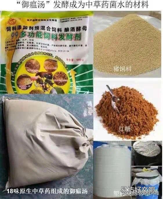 猪场外购仔猪回来风险大,如何有效防控非洲猪瘟?