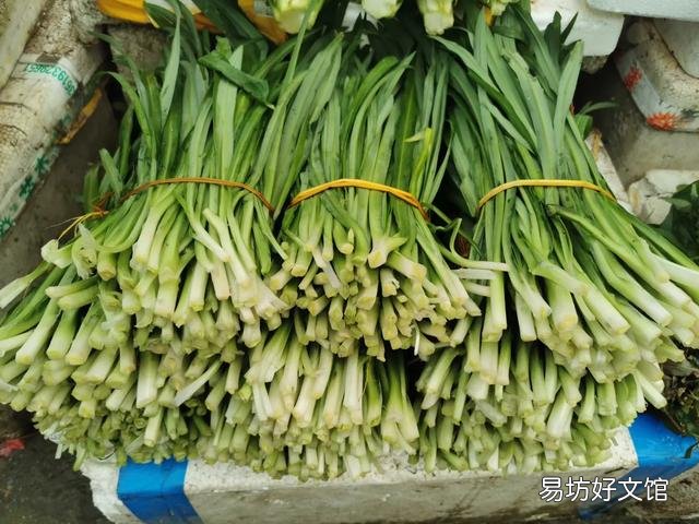 贵州这么多野菜你吃过几种呢,都怎么吃的?