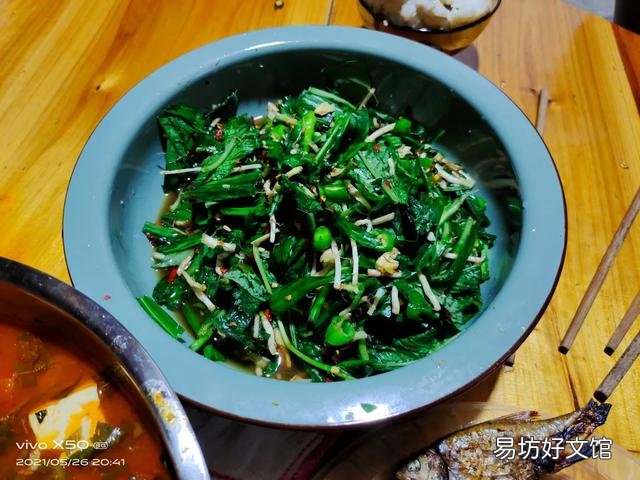 贵州这么多野菜你吃过几种呢,都怎么吃的?
