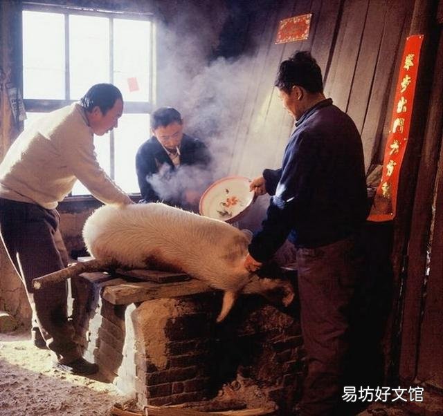 猪肉价格全面上涨——背后透露了什么消息?