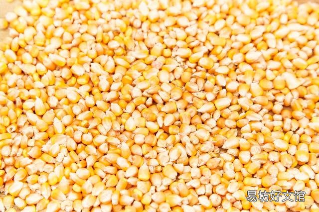 牛羊猪肉价格下降,玉米,饲料却没降价,这种情况正常吗?