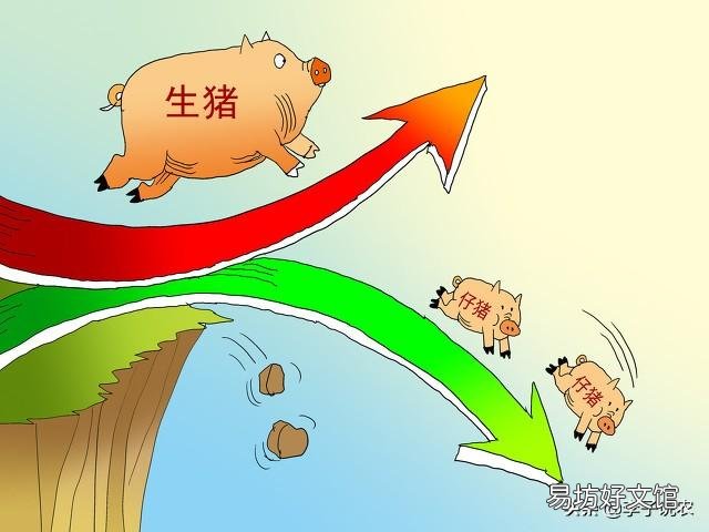 21年6月猪价还会上涨吗?