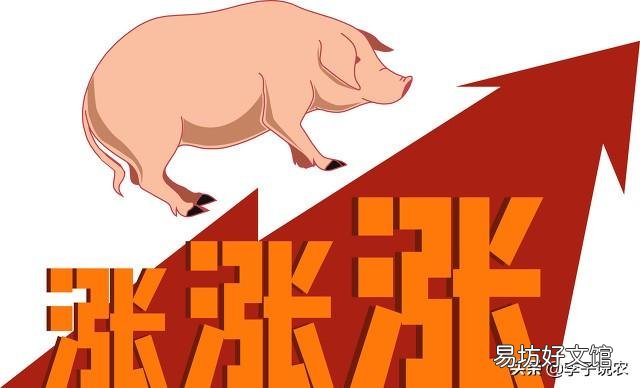 21年6月猪价还会上涨吗?