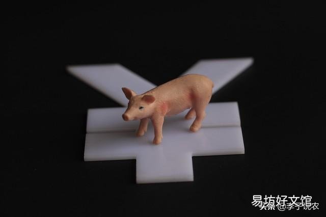 21年6月猪价还会上涨吗?
