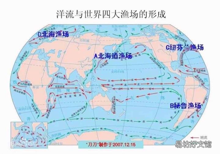 鲸鲨是用什么呼吸的 鲨鱼用什么呼吸
