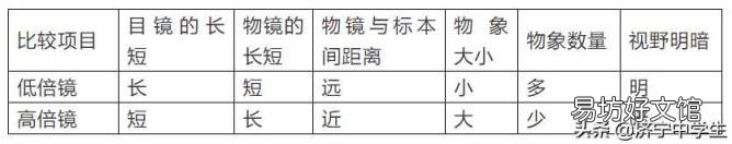 使用显微镜的5个步骤 显微镜的使用