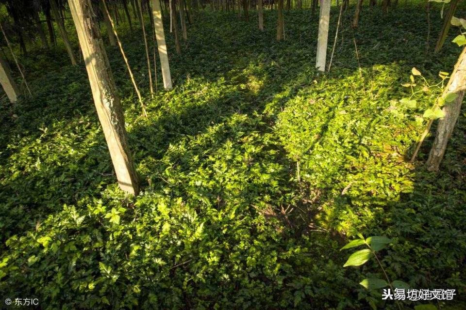 猜地名双喜临门 双喜临门打一地名