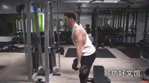 哑铃锻炼方法 初学者 哑铃锻炼方法
