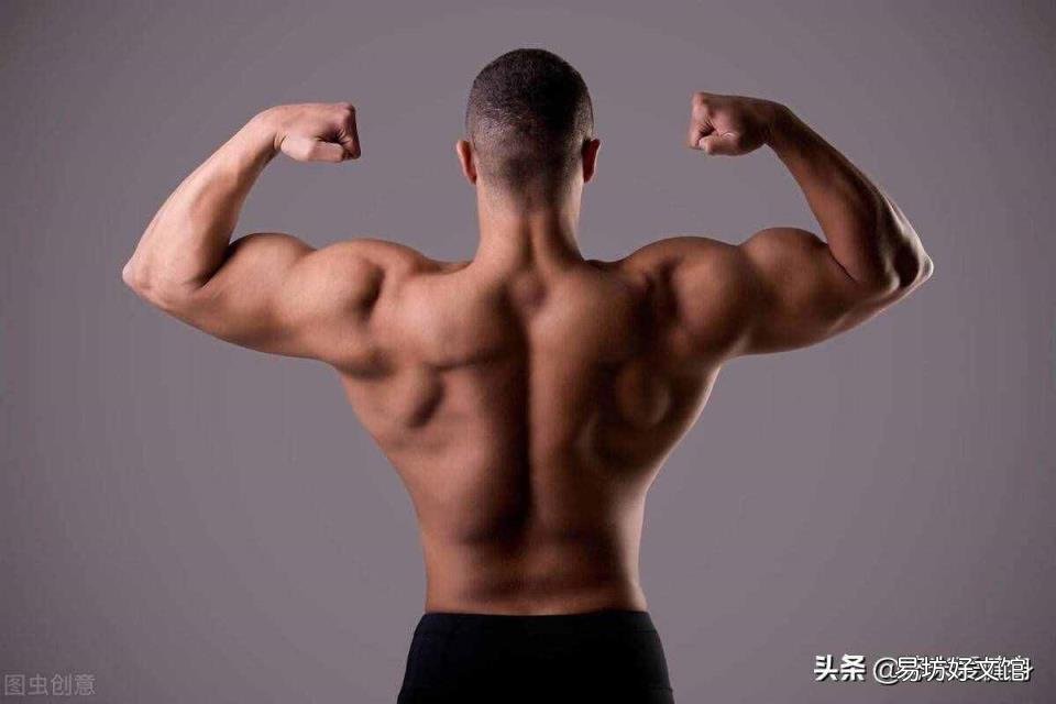 哑铃锻炼方法 初学者 哑铃锻炼方法