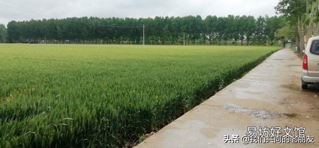 如果农民粮食不卖给粮贩,由国家统购,粮价是否有大的涨幅?