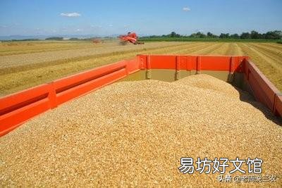 如果农民粮食不卖给粮贩,由国家统购,粮价是否有大的涨幅?