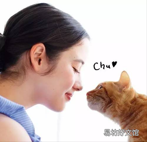 猫咪喜欢鼻子凑主人嘴(猫咪用鼻子凑主人嘴)
