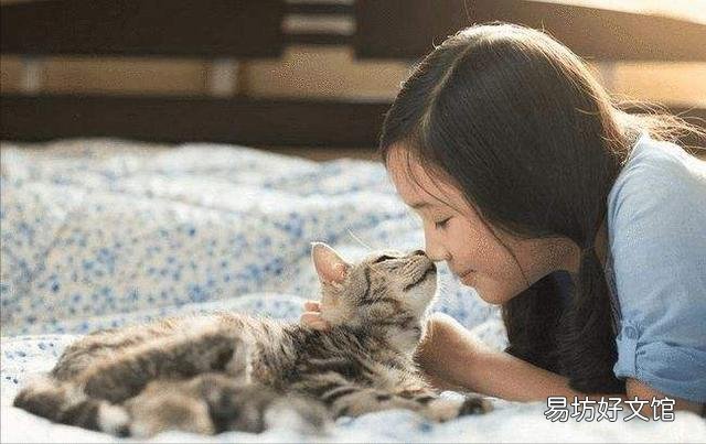 猫咪喜欢鼻子凑主人嘴(猫咪用鼻子凑主人嘴)