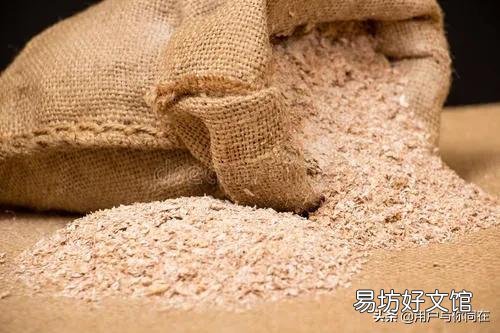 母猪怀孕喂麦麸可以吗?