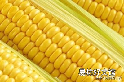 现在农村的玉米挂苞了,是卖嫩棒子还是卖成熟干玉米籽划算?