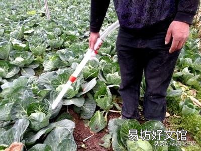 施肥的方法有哪几种?