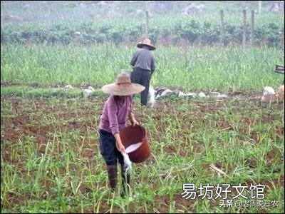 施肥的方法有哪几种?